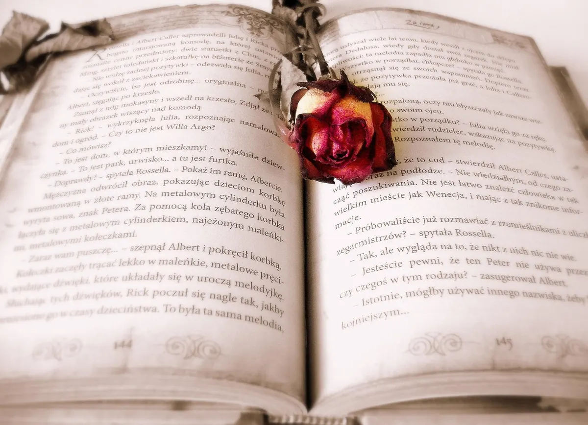 Seasonal Reading: How to Plan a Book Club Year Around New Releases